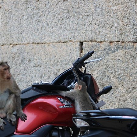 Sahasra Home Stay Hampi هوسبيت الغرفة الصورة